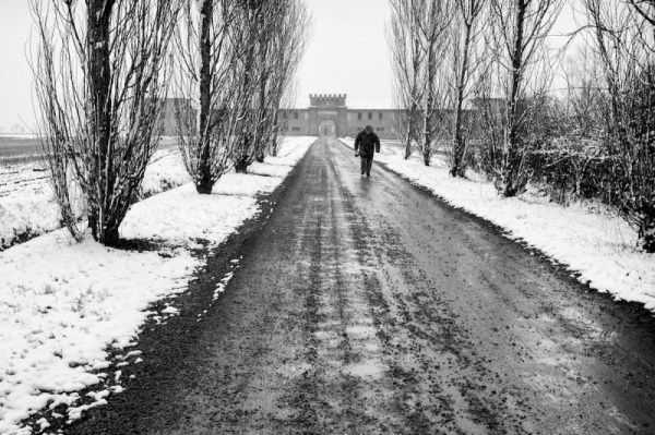 risicultura italiana