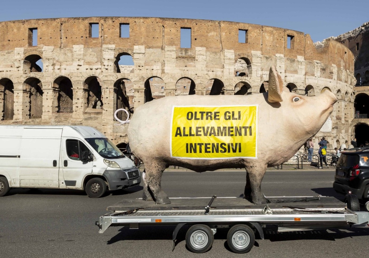 oltre gli allevamenti intensivi