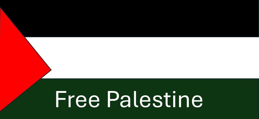 Bandiera Palestina libera