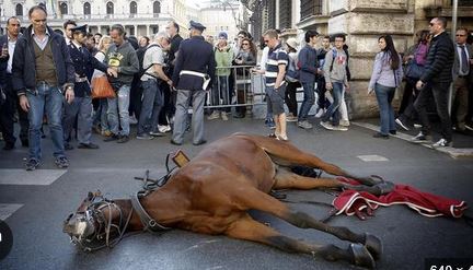 Cavallo Botticelle
